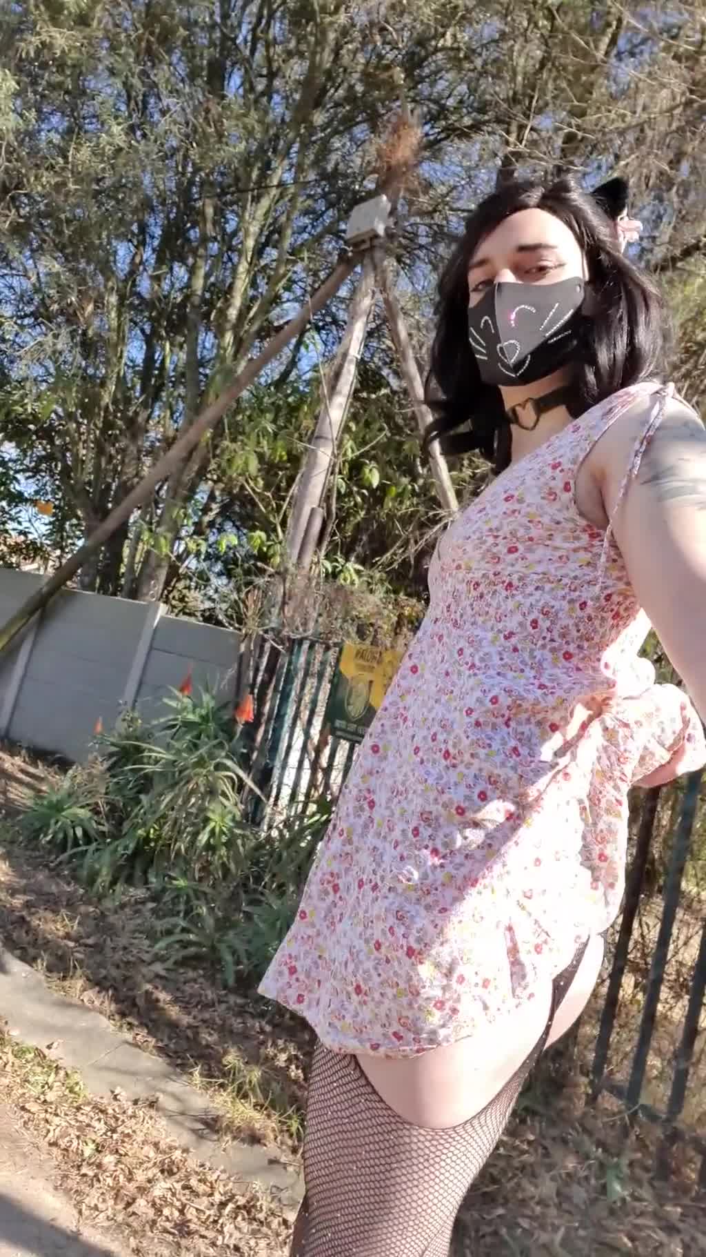 Cute trans girl decides to jerk off during a random stroll thru the park Porn Videos | ePornFap.